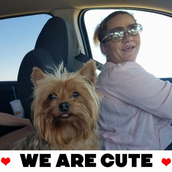 Meet your Posher, Nancy - Picture 1 of 1